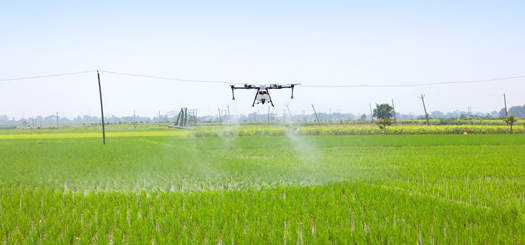 Cover up to 1 acre in just 5 minutes. Our drones are engineered to spray large areas quickly and uniformly, ensuring every inch of your crop is treated.